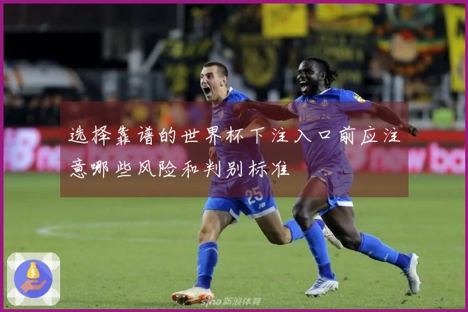选择靠谱的世界杯下注入口前应注意哪些风险和判别标准