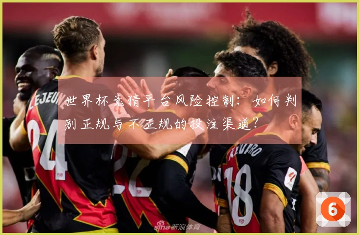 世界杯竞猜平台风险控制:如何判别正规与不正规的投注渠道?